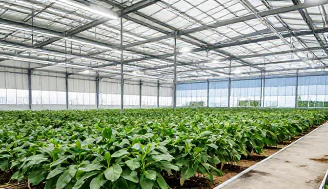 安装调试中成果管理的5个检查要点